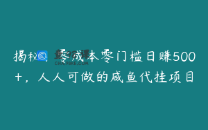 揭秘：零成本零门槛日赚500+，人人可做的咸鱼代挂项目