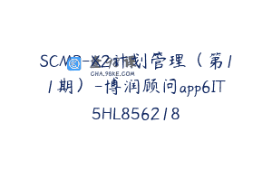 SCMP-X2计划管理（第11期）-博润顾问app6IT5HL856218