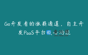 Go开发者的涨薪通道，自主开发PaaS平台核心功能