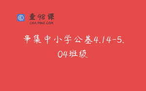 辛集中小学公基4.14-5.04班级