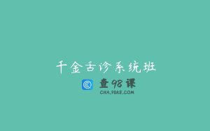 千金舌诊系统班