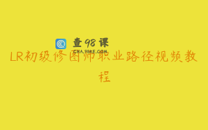 LR初级修图师职业路径视频教程