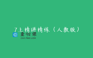 7上精讲精练（人教版）