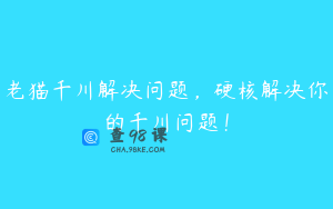 老猫千川解决问题，硬核解决你的千川问题！
