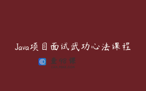 Java项目面试武功心法课程