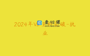 2024年VIP主科突破-执业