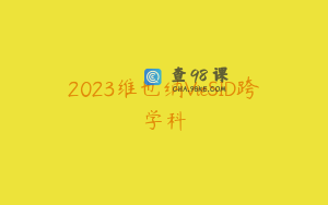 2023维也纳VieSID跨学科