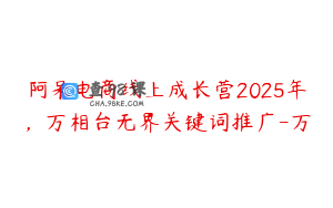阿呆电商线上成长营2025年，万相台无界关键词推广-万