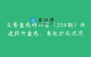 交易盘感特训营（259期）快速提升盘感，有效抄底逃顶