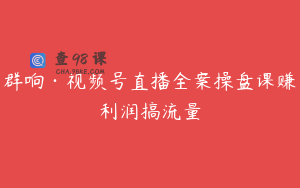群响·视频号直播全案操盘课赚利润搞流量