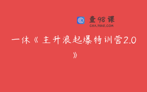 一休《主升浪起爆特训营2.0》