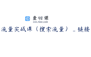 流量实战课（搜索流量）_链接