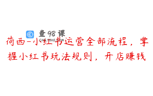 荷西-小红书运营全部流程，掌握小红书玩法规则，开店赚钱