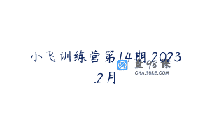 小飞训练营第14期 2023.2月