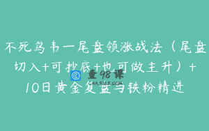 不死鸟韦一尾盘领涨战法（尾盘切入+可抄底+也可做主升）+10日黄金复盘与铁粉精进