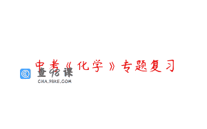 中考《化学》专题复习