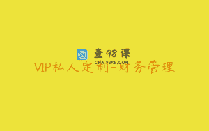 VIP私人定制-财务管理