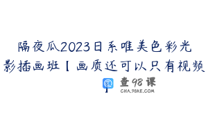 隔夜瓜2023日系唯美色彩光影插画班【画质还可以只有视频】