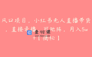 风口项目,小红书无人直播带货,直接录播,可矩阵,月入5w+【揭秘】