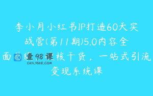 李小月小红书IP打造60天实战营(第11期)5.0内容全面升级，硬核干货，一站式引流变现系统课