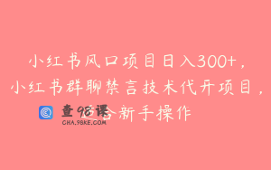 小红书风口项目日入300+,小红书群聊禁言技术代开项目,适合新手操作