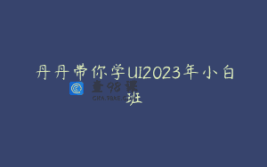 丹丹带你学UI2023年小白班