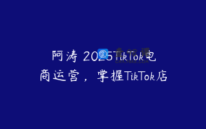 阿涛・2025TikTok电商运营，掌握TikTok店