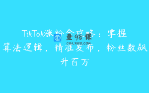 TikTok涨粉全攻略：掌握算法逻辑，精准发布，粉丝数飙升百万