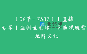 【56节-￥7387】【直播专享】盛国恒老师：青苗领航营_矩阵文化