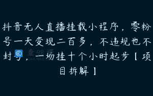 抖音无人直播挂载小程序，零粉号一天变现二百多，不违规也不封号，一场挂十个小时起步【项目拆解】