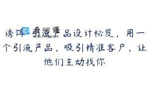 诱饵-引流产品设计秘笈，用一个引流产品，吸引精准客户，让他们主动找你