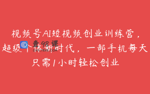 视频号AI短视频创业训练营，超级个体新时代，一部手机每天只需1小时轻松创业