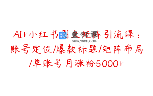 AI+小红书图文矩阵引流课：账号定位/爆款标题/矩阵布局/单账号月涨粉5000+