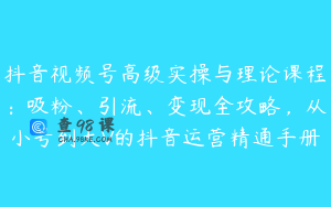 抖音视频号高级实操与理论课程:吸粉、引流、变现全攻略,从小号到大V的抖音运营精通手册