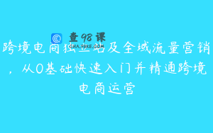 跨境电商独立站及全域流量营销，从0基础快速入门并精通跨境电商运营