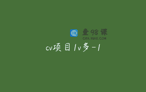 cv项目1v多-1