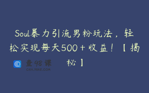 Soul暴力引流男粉玩法，轻松实现每天500＋收益！【揭秘】