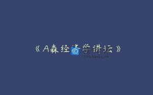 《A森经济学讲坛》