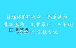 自媒体IP实战课，赛道选择、爆款选题、文案写作，半年10万粉+六位数变现