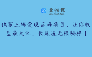 独家三端变现蓝海项目,让你收益最大化,长尾流无限躺挣【