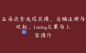 亚马逊全流程实操，店铺注册与收款，Listing文案与上架操作