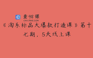 《淘系标品大爆款打造课》第十七期，5天线上课