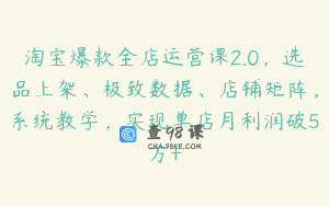 淘宝爆款全店运营课2.0，选品上架、极致数据、店铺矩阵，系统教学，实现单店月利润破5万+
