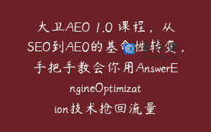 大卫AEO 1.0 课程，从SEO到AE0的基命性转变，手把手教会你用AnswerEngineOptimization技术抢回流量