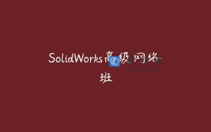 SolidWorks高级网络班