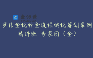 罗伟全税种全流程纳税筹划案例精讲班-专家团（全）