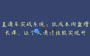 直通车实战系统：低成本询盘增长课，让个人通过技能实现升