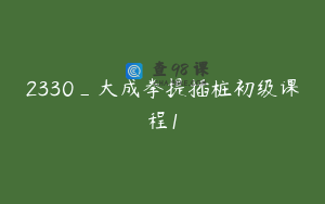 2330_大成拳提插桩初级课程1