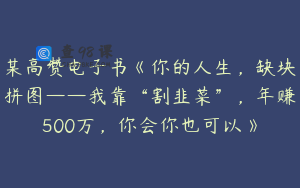 某高赞电子书《你的人生，缺块拼图——我靠“割韭菜”，年赚500万，你会你也可以》
