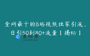 全网最干的B站视频独家引流,日引50到80+流量【揭秘】